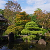 姫路城周辺観光 好古園