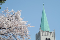 いつもの西洋館ぶらぶら　教会と桜