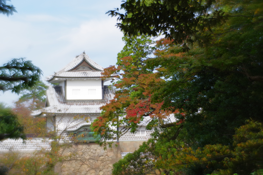 金沢 紅葉 オールドレンズ散歩 (36)