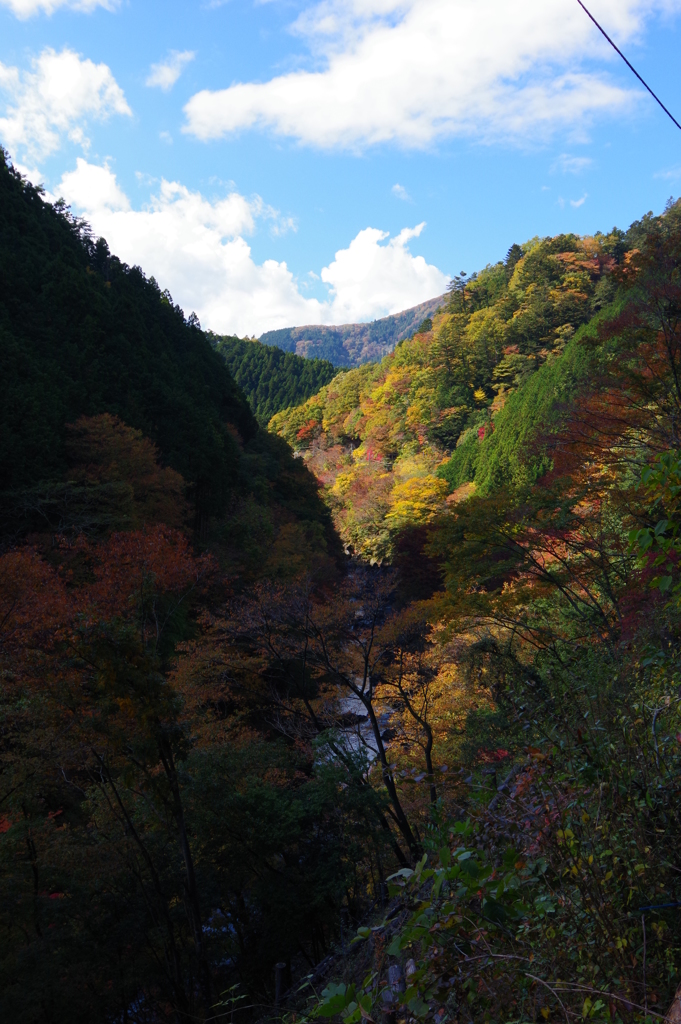 奥多摩むかしみち 綺麗な山々でした。