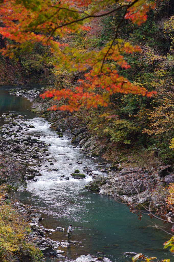 奥多摩むかしみち 川と紅葉と良く見ると釣りをしてる人