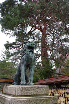 尾山神社 狛犬さん
