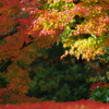 那谷寺 紅葉 (45)