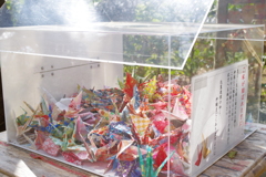 Kamakura散歩 葛原岡神社 結婚したら折り鶴を入れる