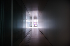 新天地 金沢 21世紀美術館 十字の光