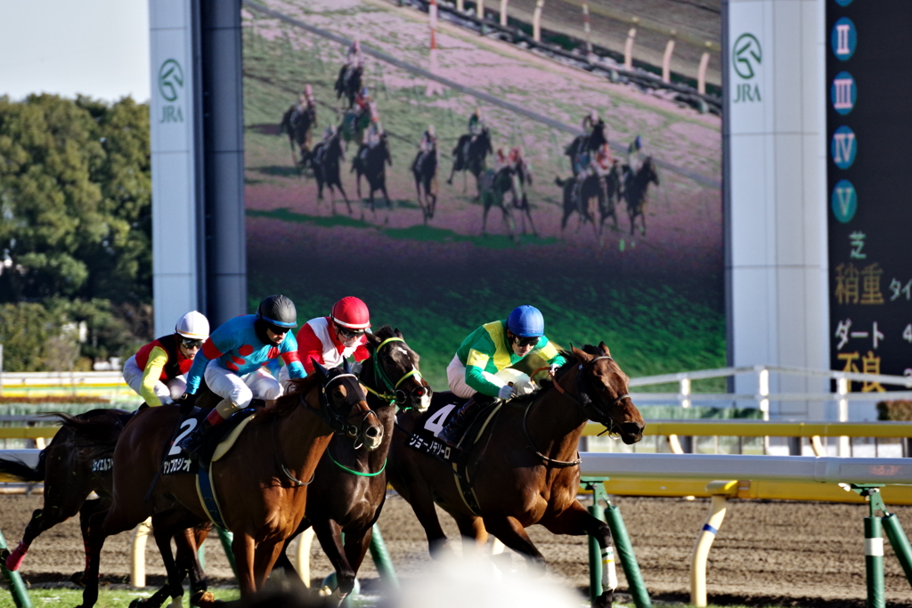 競馬を撮ってみた