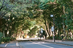 近所散歩 (フィルム)