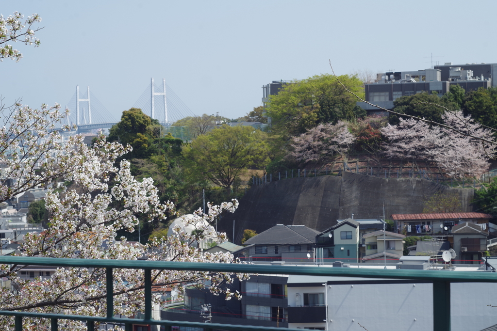 いつもの西洋館ぶらぶら 窓からの風景