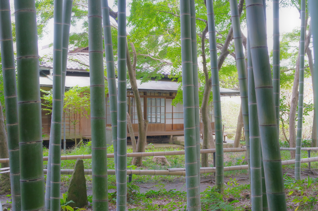 Kamakura散歩 英勝寺 竹林のなかの日本家屋