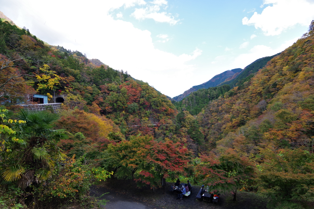 奥多摩むかしみち 紅葉した山々