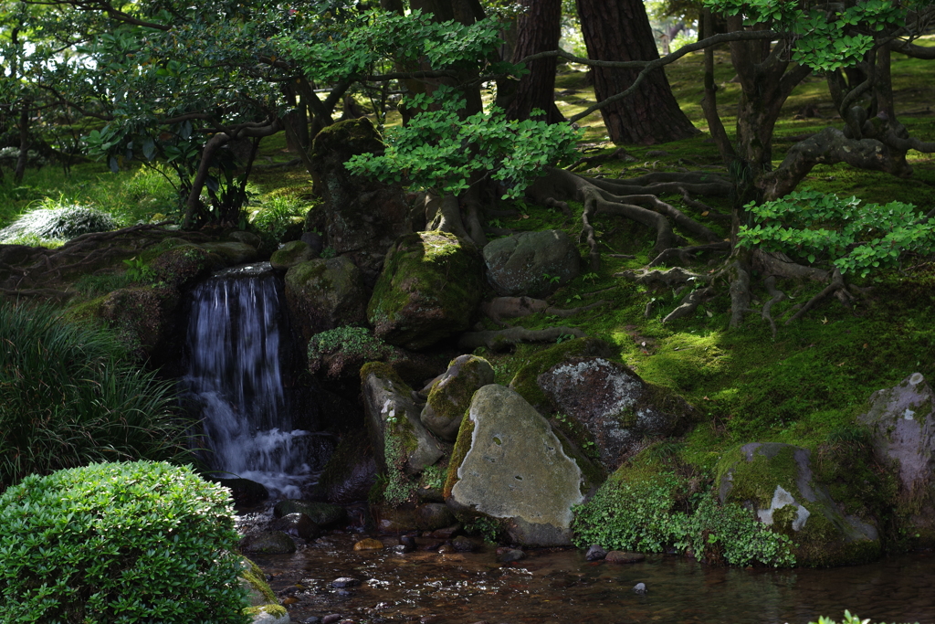 早朝のお散歩 (11)