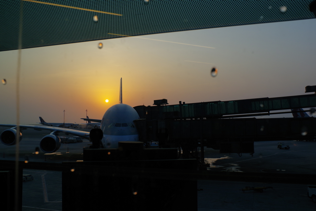 ウィ－ン・チェコの旅 ド－ハ空港 朝日と飛行機