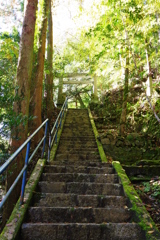 奥多摩むかしみち 白髭神社への階段