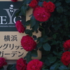 イングリッシュガーデン petri 50mm f1.7 イングリッシュガーデン