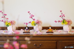 西洋館散歩 super takumar 55mm f1.8