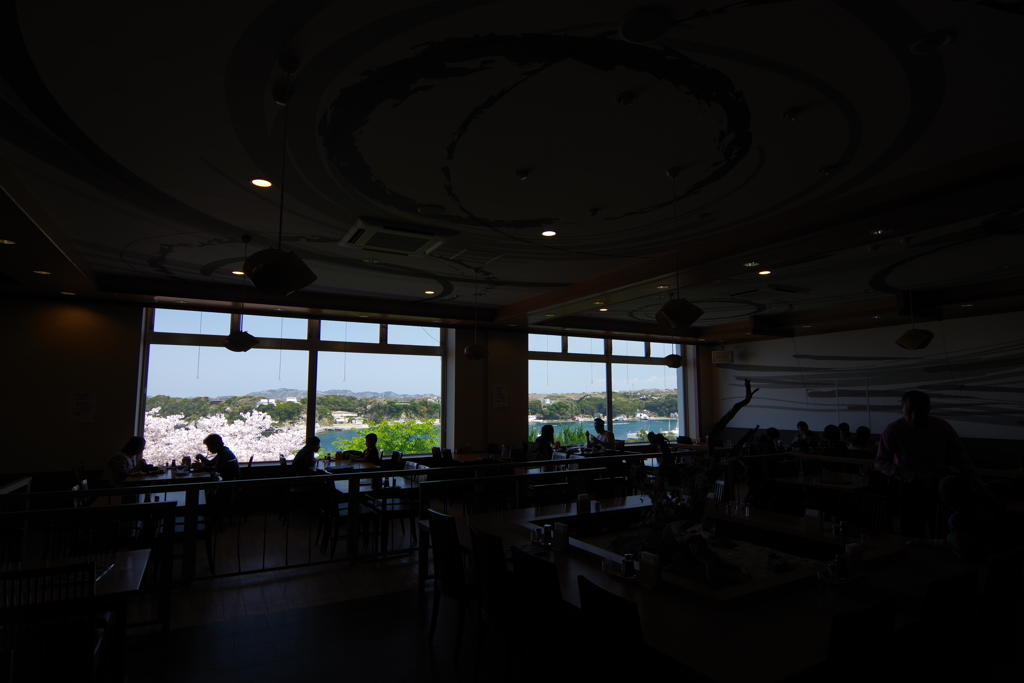 三崎マグロきっぷ 綺麗な景色のお店
