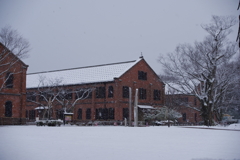 雪の兼六園へ