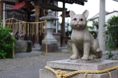 猫返し神社 あまりデフォルメされてない猫さん