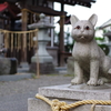 猫返し神社 あまりデフォルメされてない猫さん