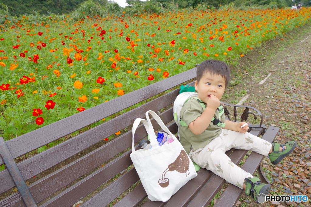 HD DA 16-50mm f2.8 十分な広角