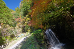 奥多摩むかしみち 気持ちのいい場所