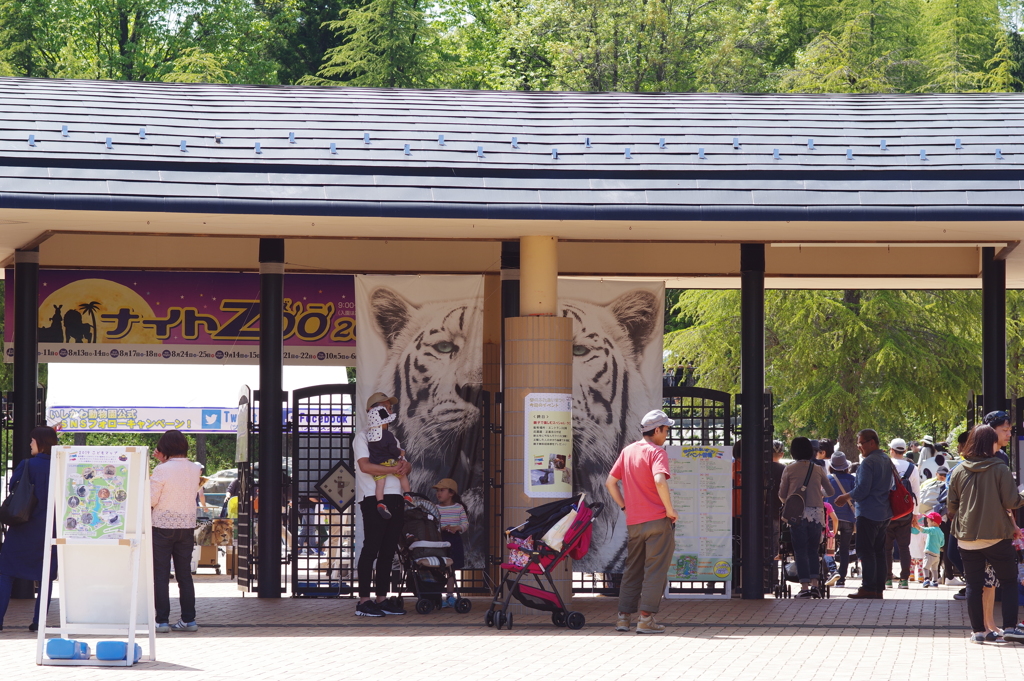 いしかわ動物園 大賑わい