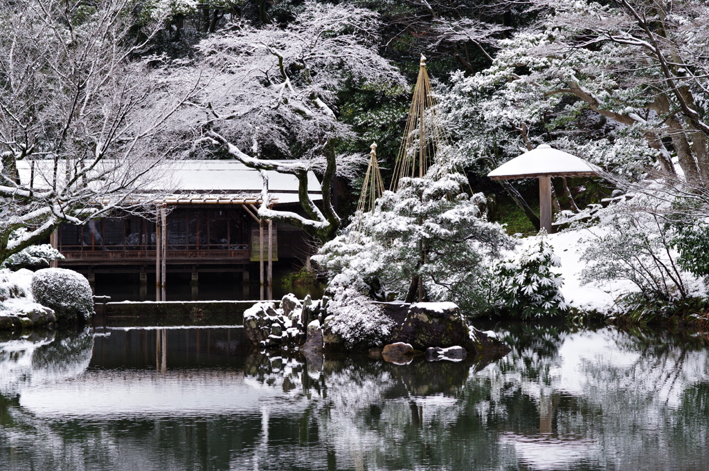 雪の兼六園  (3)