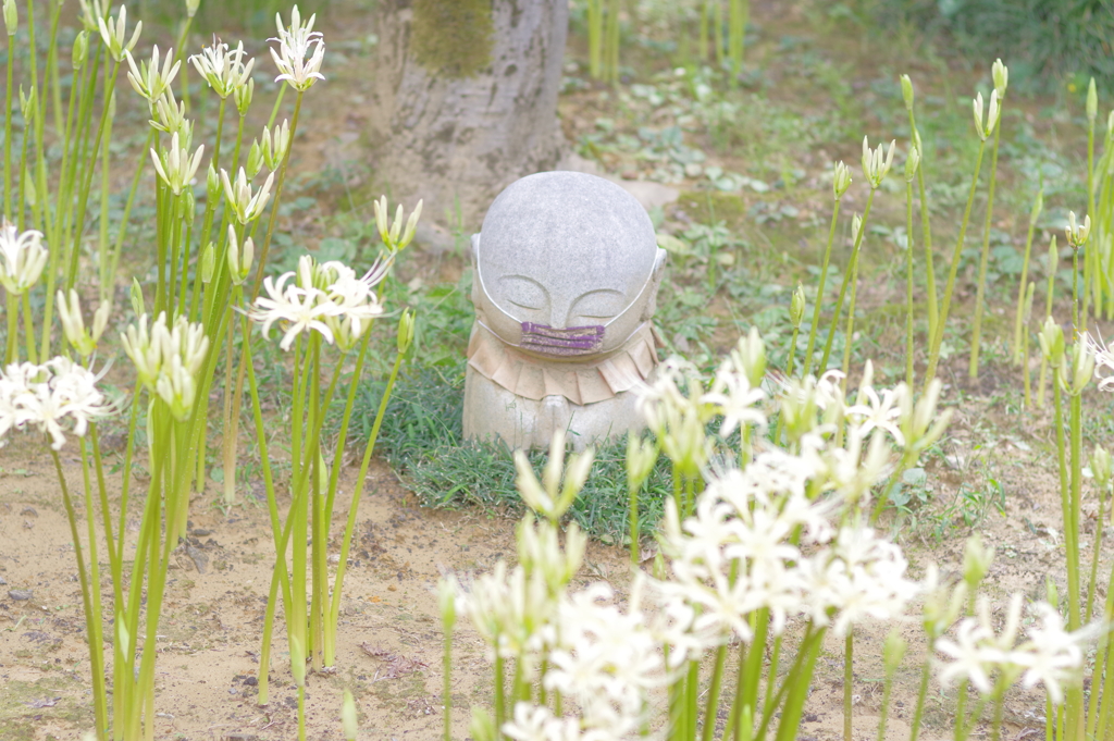 香林寺へお散歩 (34)