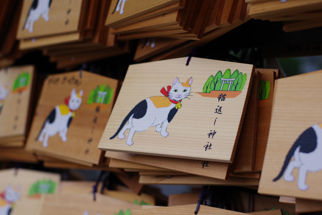 猫返し神社 探し猫が帰ってくるそうです