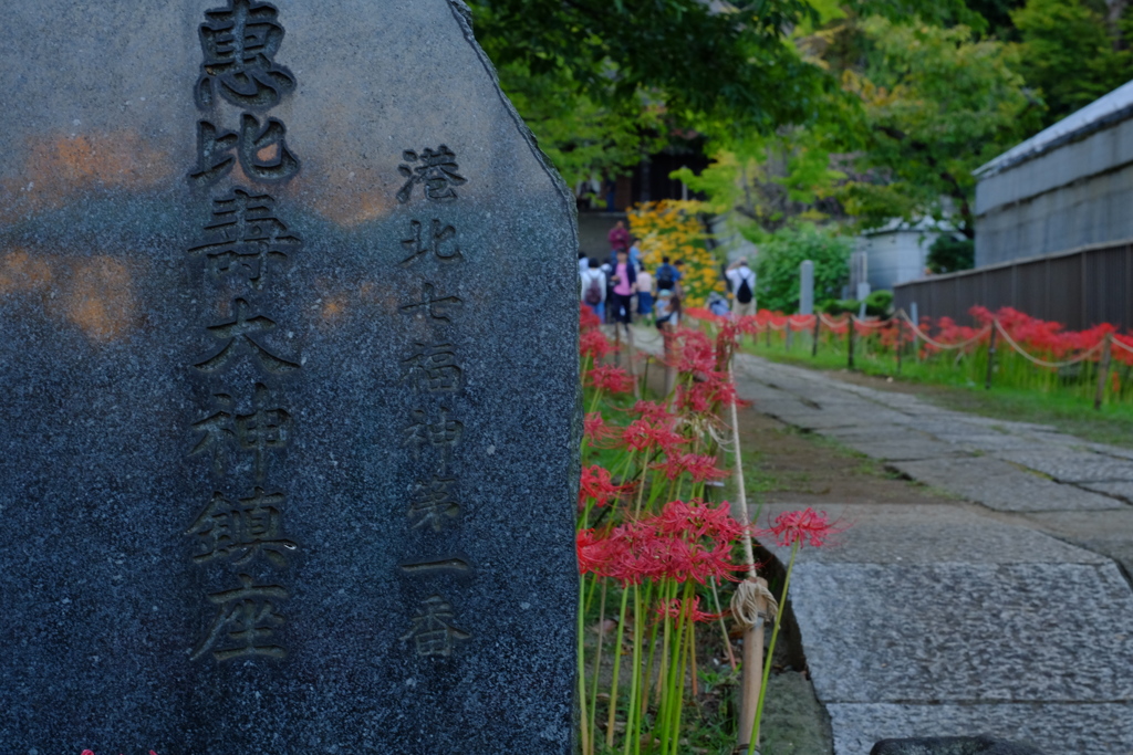 西方寺　彼岸花