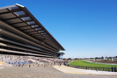 東京競馬場 広い