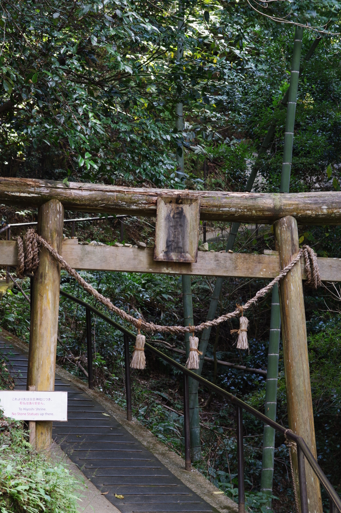 大分ちょっと観光 臼杵大仏 更に昇る