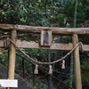 大分ちょっと観光 臼杵大仏 更に昇る