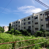 長崎 池島観光 草に侵食されている