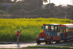 ソレイユの丘 汽車