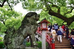 太宰府天満宮　狛犬　一匹目　