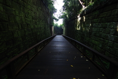 KP試し撮り 猿島 道
