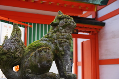 住吉神社 初詣 (4)