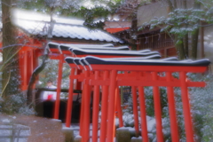 雪の兼六園 ソフトフォーカスレンズで散歩 (6)