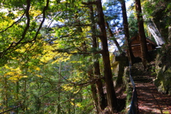 奥多摩むかしみち 白髭神社と紅葉