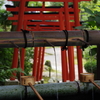 金沢散歩 金澤神社 赤い鳥居と手水舎