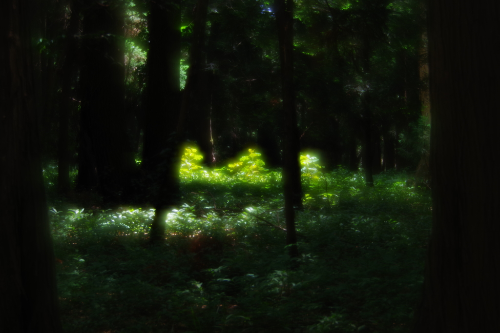 ソフトフォーカスレンズで印象派っぽい写真を目指す。in 森