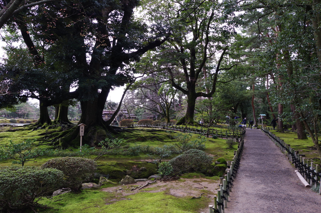 金沢 兼六園