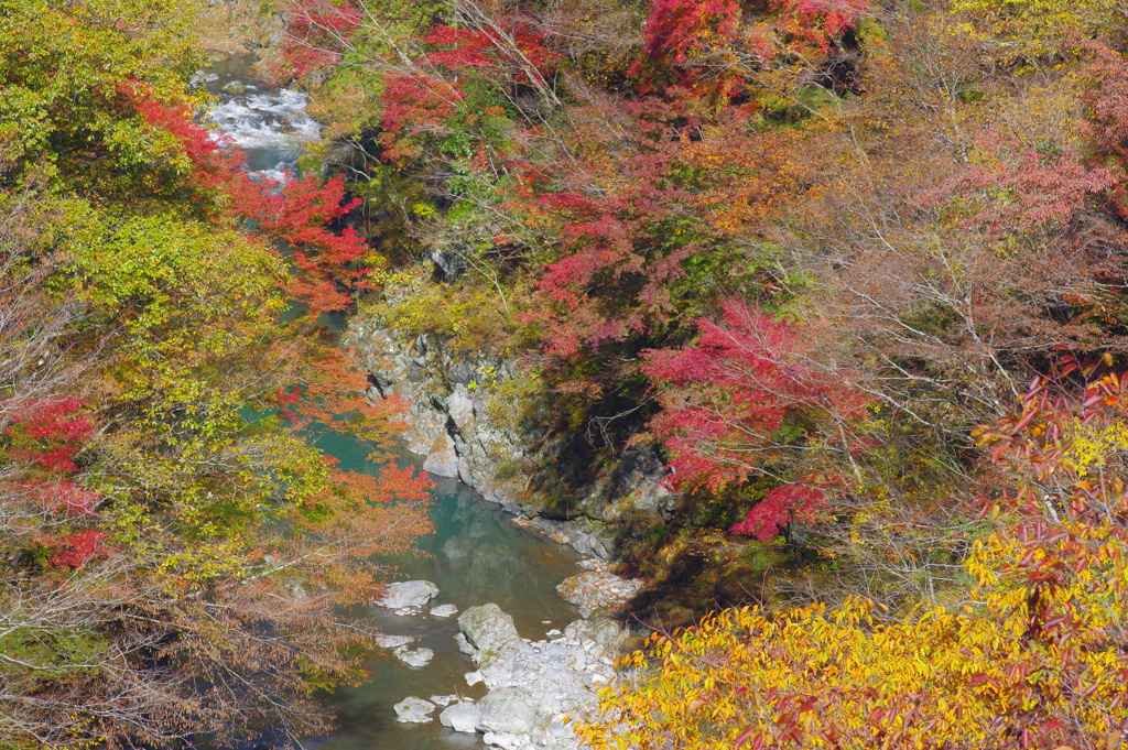 奥多摩むかしみち The 紅葉 柔らかめに