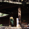 靖国神社 初めてちゃんと獅子舞を見ました。