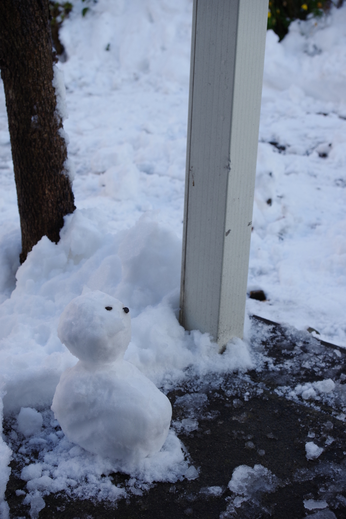 家の前にあった雪だるま