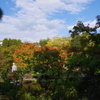姫路城周辺観光 好古園