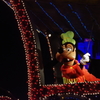 夜の初ディズニーランド 6