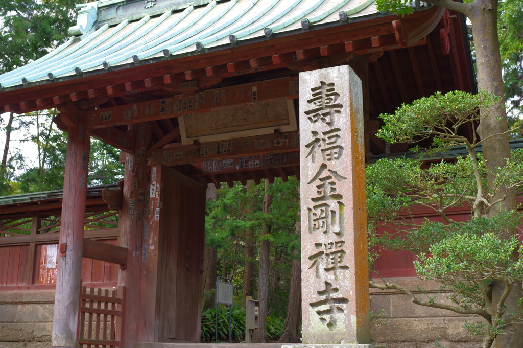 Kamakura散歩 寿福金剛禅寺