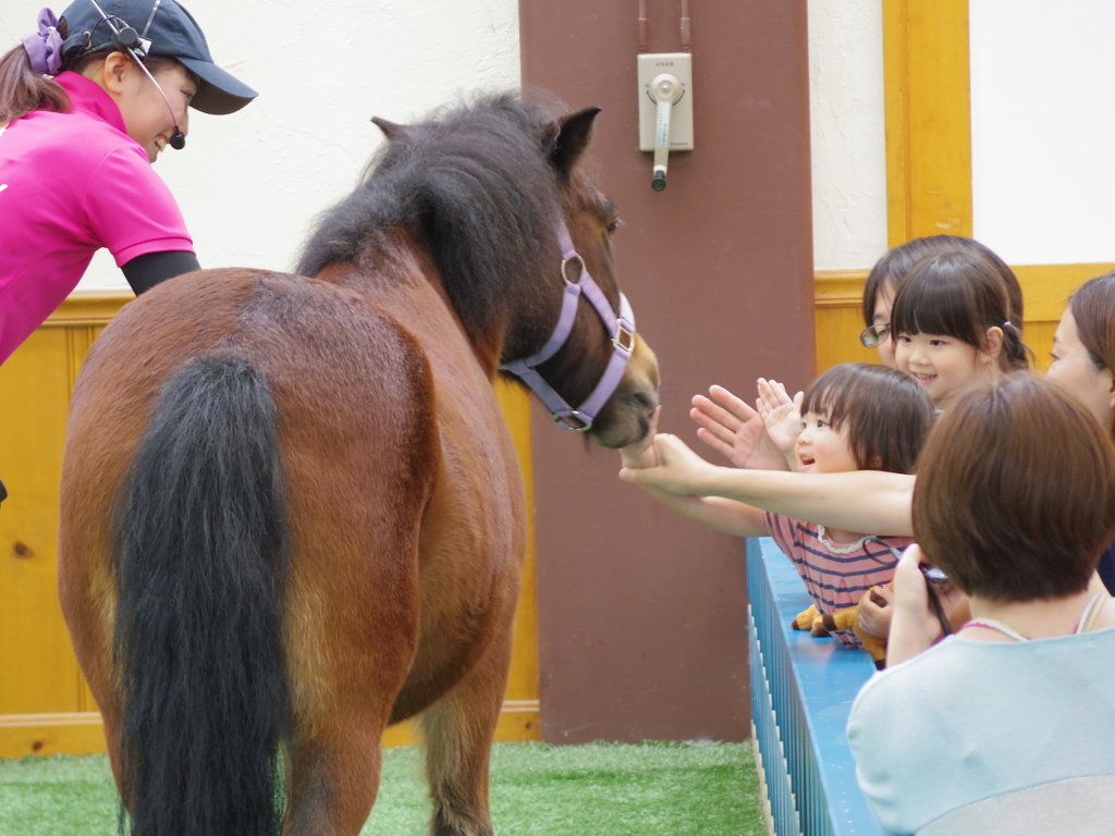 馬ノーズタッチ　ノーザンハウスパーク